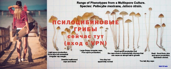 прущая мука Нефтегорск